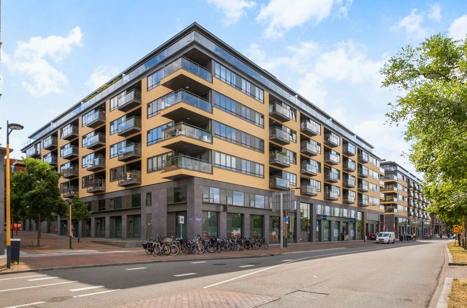 Grauwaartsingel 498