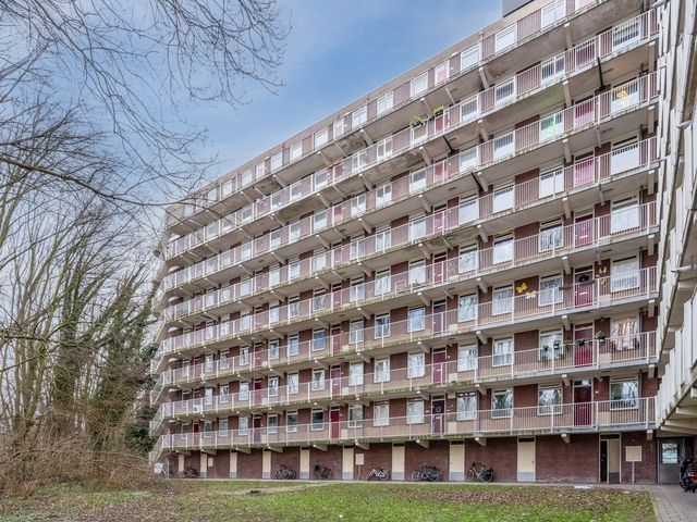 Fluitekruidweg 97, Zaandam