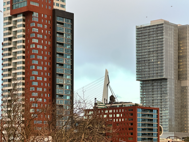 Delistraat 38E, Rotterdam