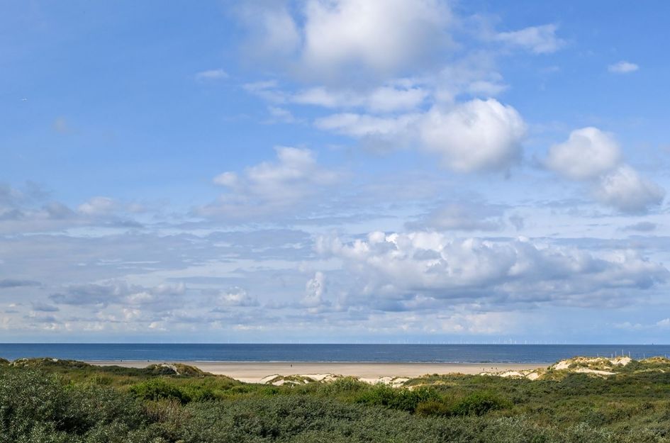 IJmuiderslag 19