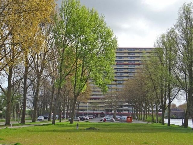 Oost Dorsch , Zaandam