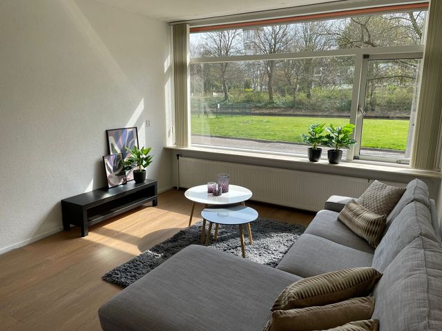 Moolenwater 12, Brielle