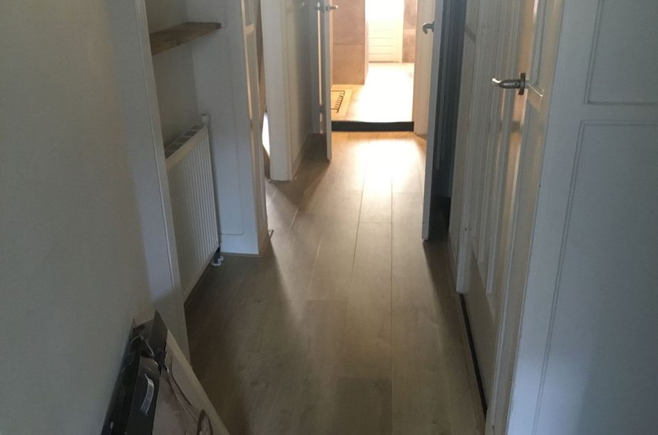 Van Den Boschstraat 284