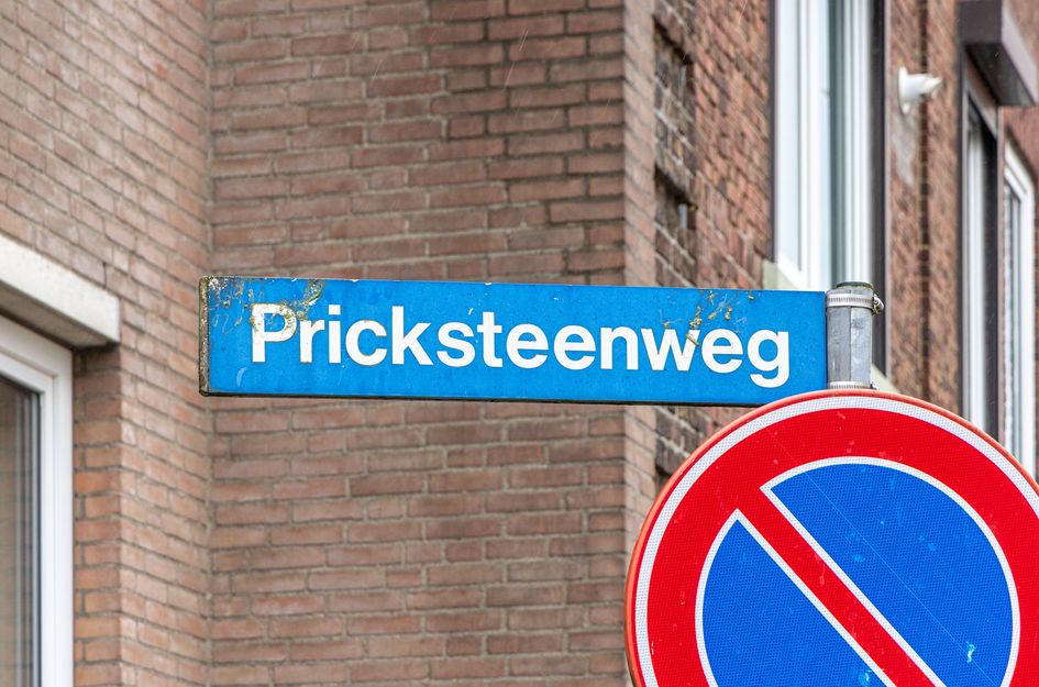 Pricksteenweg 21