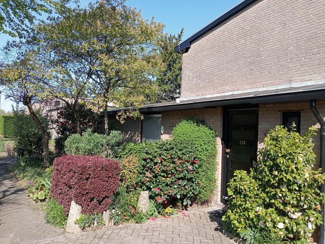 Vlierlaan 228, Oosterhout