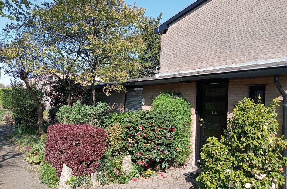 Vlierlaan 228
