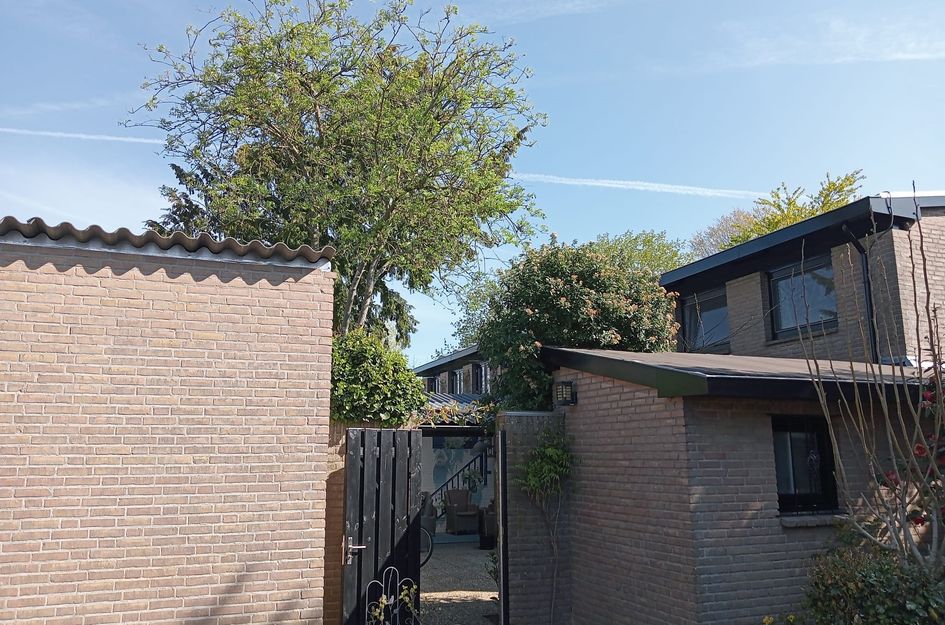 Vlierlaan 228