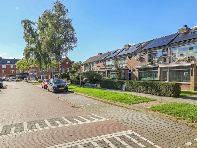 Ranonkelstraat 46, Arnhem