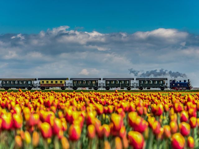 Almereweg (Kleine Vliet) , Opperdoes