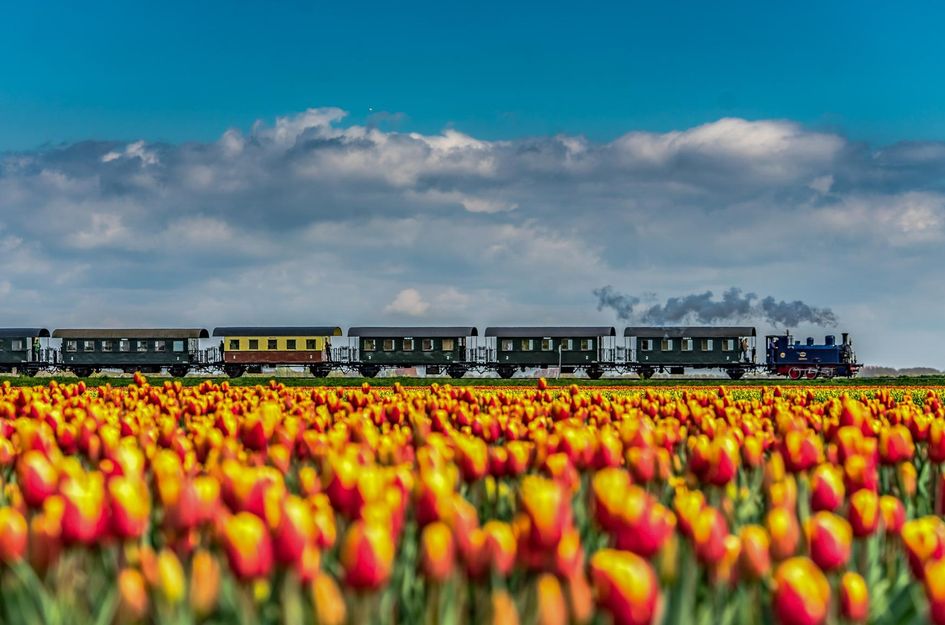 Almereweg (Kleine Vliet) 