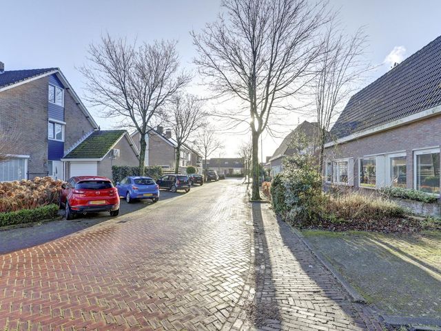 Esdoornstraat 10, 'S-Gravenpolder