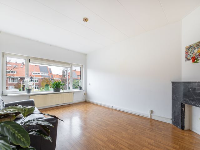 Laan van Nieuw Oosteinde 342, Voorburg