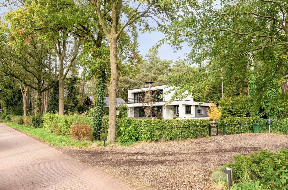 De Stille Wille 35