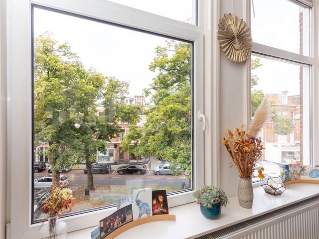 Regentesselaan 114A, Den Haag