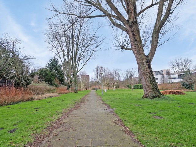 Van Boshuizenstraat 501, Amsterdam