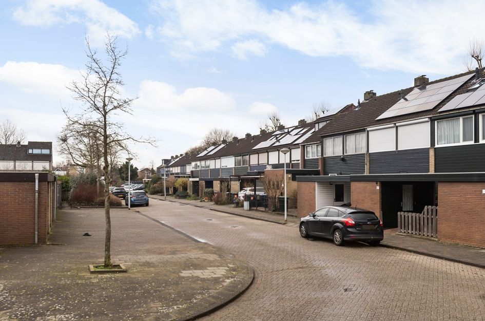 Groen V Prinstererstraat 55
