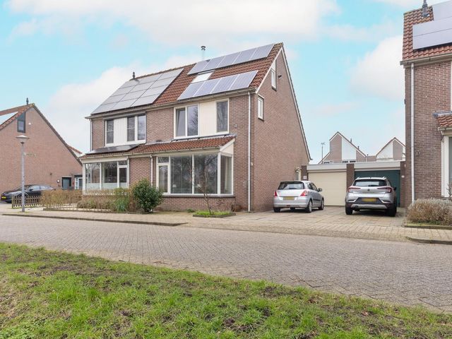 Cypres 70, Hoorn