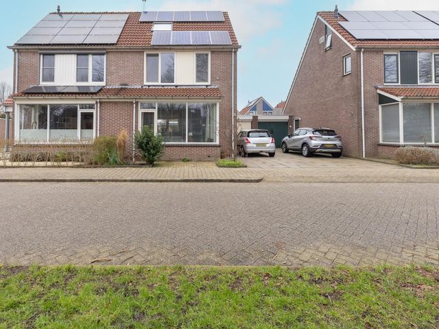 Cypres 70, Hoorn