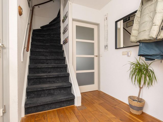 Cypres 70, Hoorn