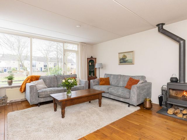 Cypres 70, Hoorn