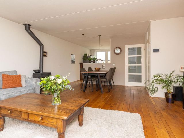 Cypres 70, Hoorn