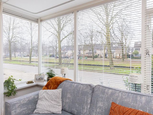 Cypres 70, Hoorn