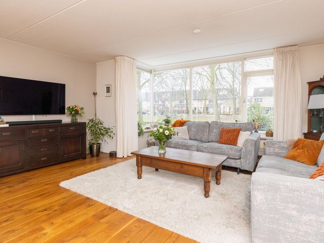 Cypres 70, Hoorn