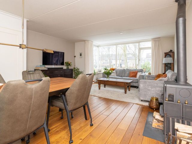 Cypres 70, Hoorn