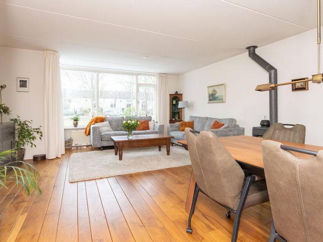 Cypres 70, Hoorn