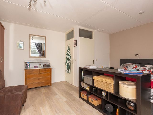 Cypres 70, Hoorn