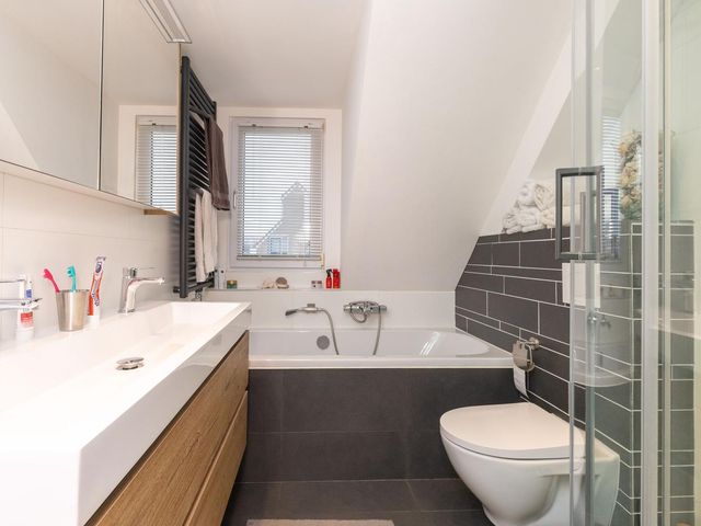 Cypres 70, Hoorn