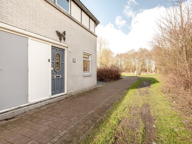 Galjoen 29 26, Lelystad