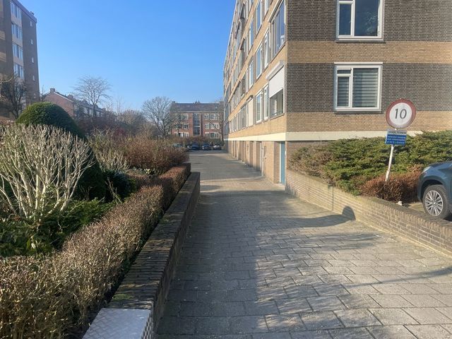 Minister Goeman Borgesiuslaan 20, Rijswijk