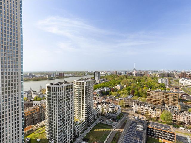 Gedempte Zalmhaven 707, Rotterdam