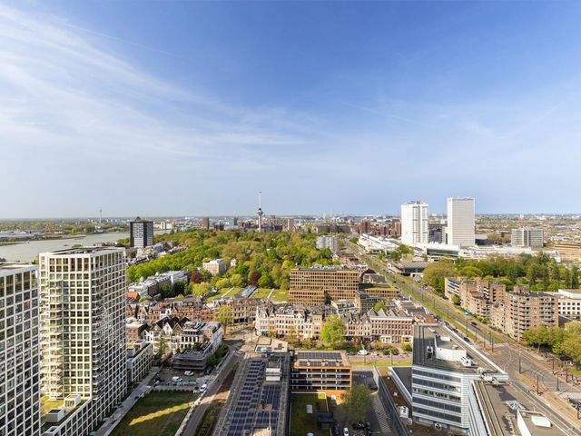 Gedempte Zalmhaven 707, Rotterdam