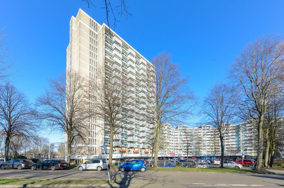 Forellendaal 94