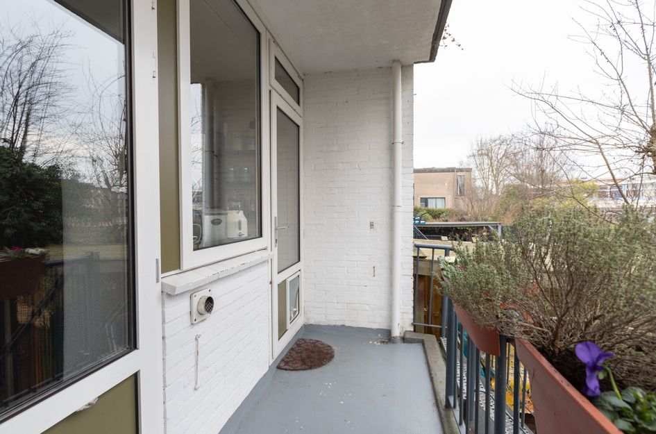 Vondellaan 31