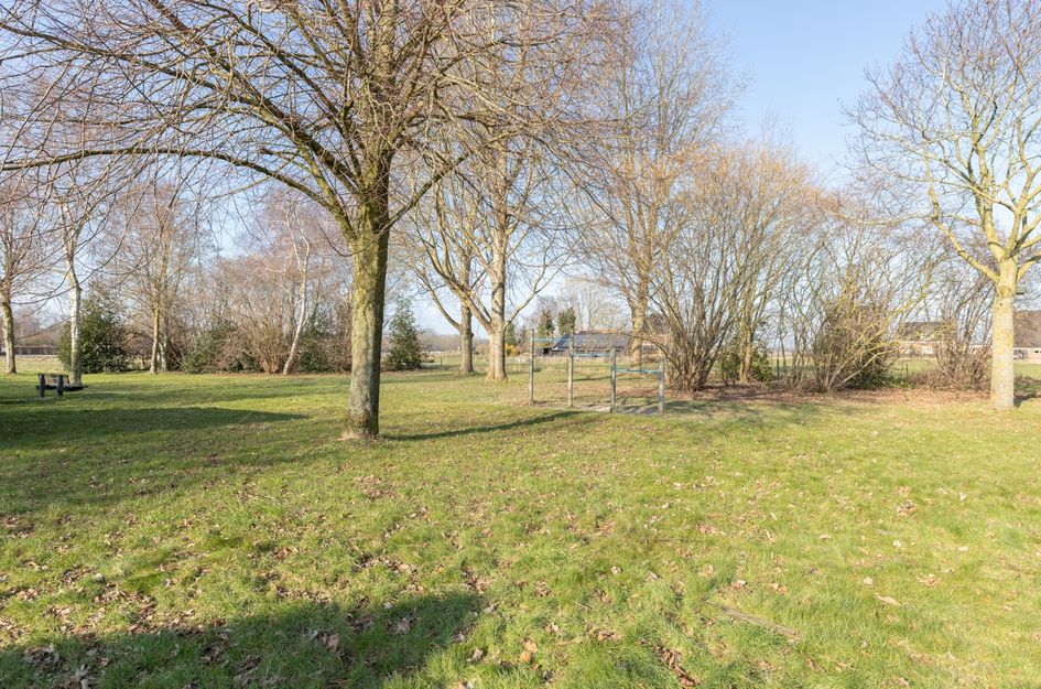 Kiekendief 16