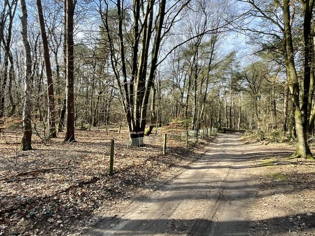 Tonnenberg 53K 34, Ermelo