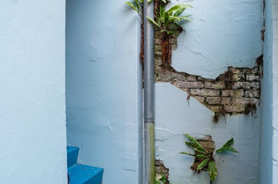 Moesstraat 6