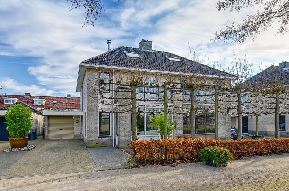 Biezengors 64