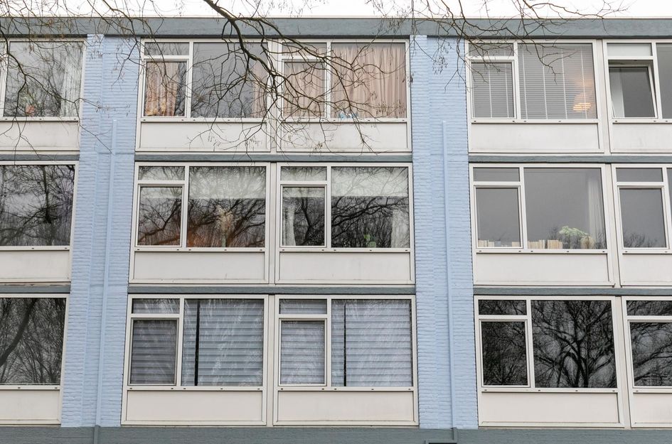 Trouwlaan 237
