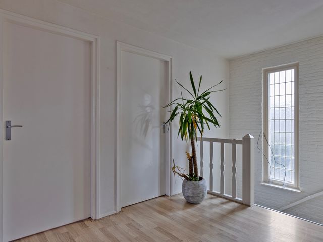 Olmenstraat 30, Vogelwaarde