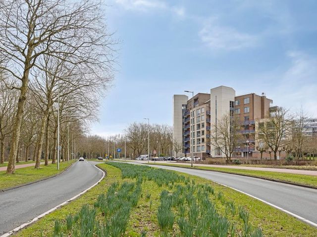 Beysterveld , Amsterdam