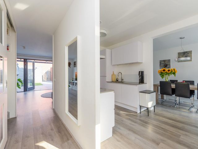 Pluvierstraat 7, 'S-Gravenhage