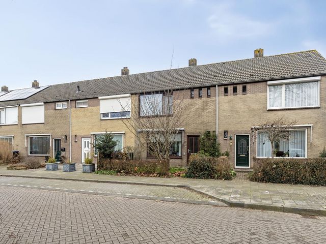 Polderlaan 48, Geervliet