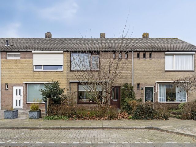 Polderlaan 48, Geervliet