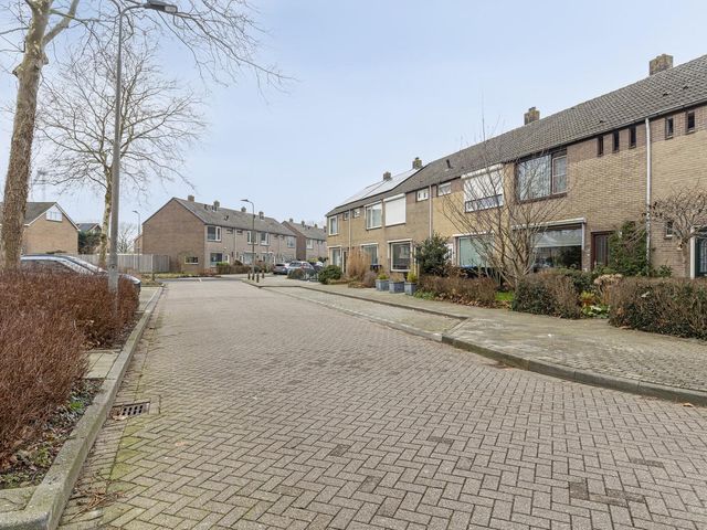 Polderlaan 48, Geervliet