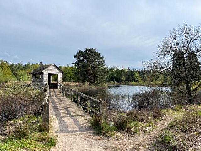 Boslaan 1 116, Gramsbergen