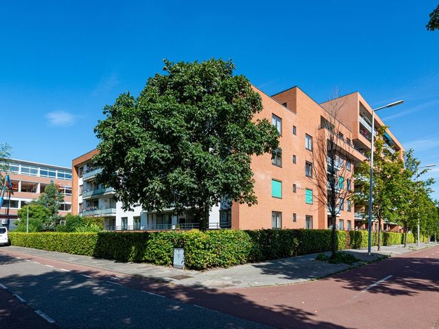 Zanglijsterstraat 15, Rotterdam